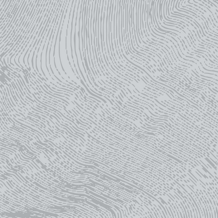 Obrázek z POLYREY ES0B Estampe Gris 2450x1240x0.9 mm FA