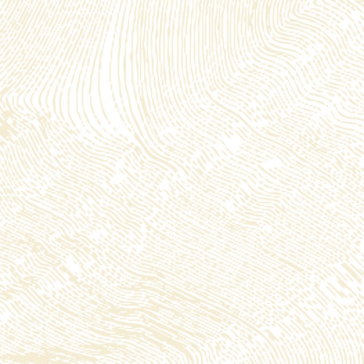 Obrázek z POLYREY ES0C Estampe Ecru 3050x1300x10 mm FA