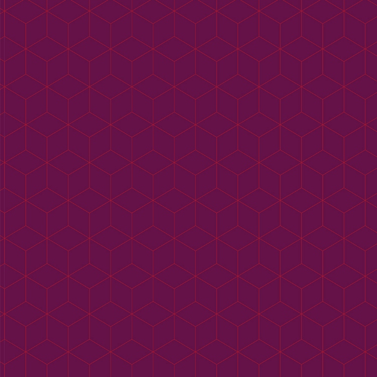 Obrázek z POLYREY HE0A Hexacub Prune 3050x1320x0.9 mm FA