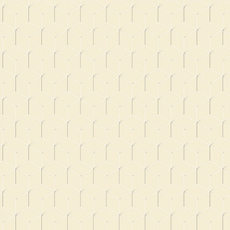 Obrázek z POLYREY HE1B Hexametal Bronze 3050x1320x10 mm FA