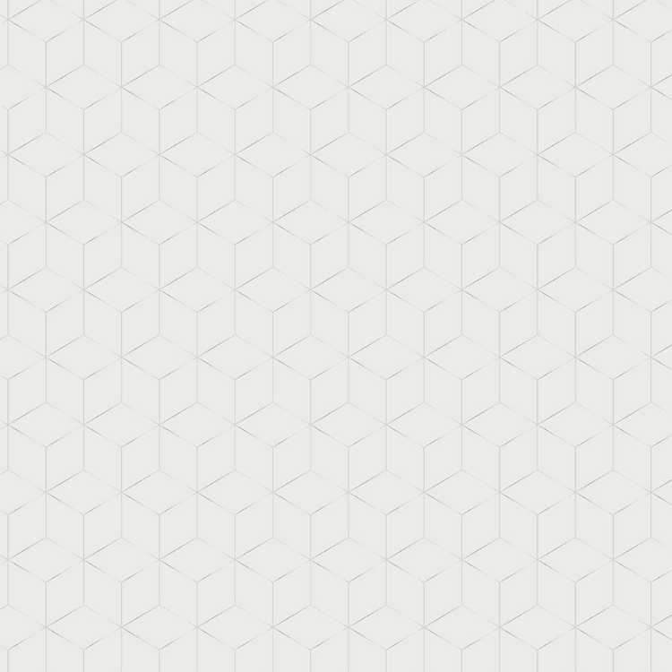 Obrázek z POLYREY HE1C Hexametal Argent 3050x1320x8 mm FA