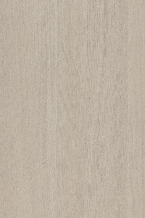 Obrázek z POLYREY-B131 Bouleau Argenté 2800x2070x19 LEG